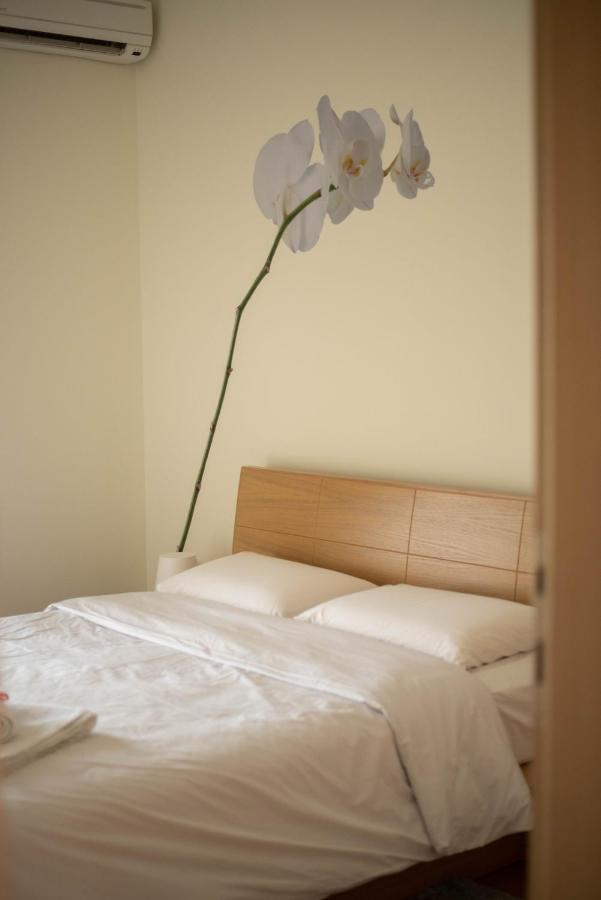 Dimsim Home-Σπίτι Με Όνομα Trikala  Ngoại thất bức ảnh